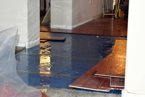Professional Emergency Water Damage Restoration technician working in Mount Cory, OH